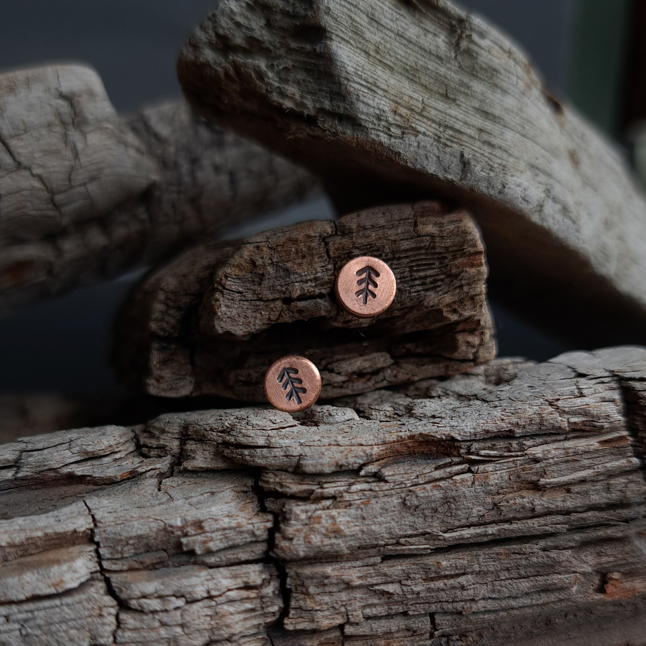 Fir-Stamped Copper Circle Stud Earrings — 925 Sterling Silver Posts