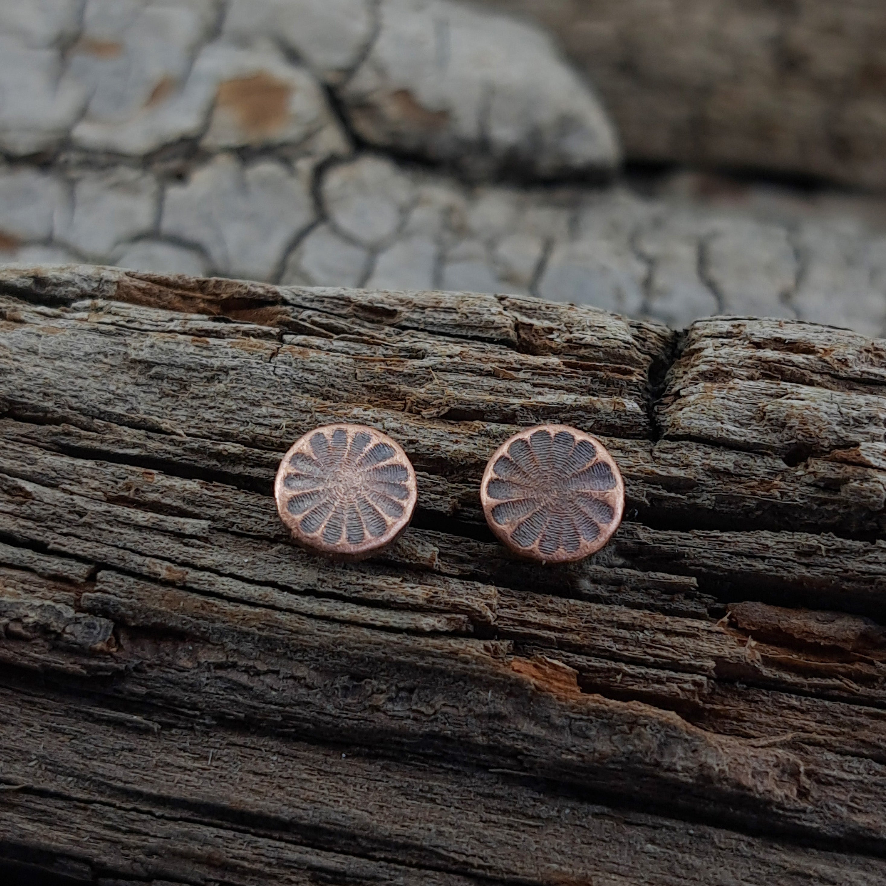 Citrus Cut Copper Circle Stud Earrings — 925 Sterling Silver Posts